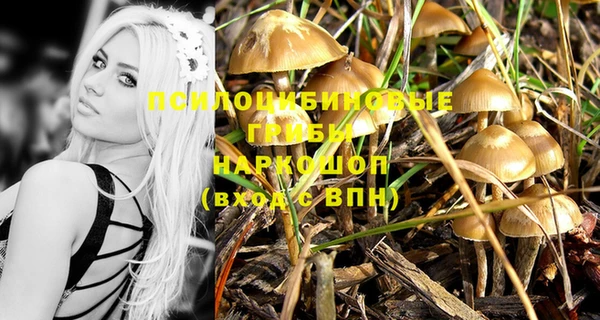 герыч Осташков
