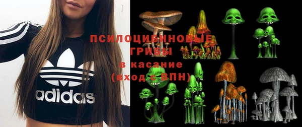 мескалин Аркадак