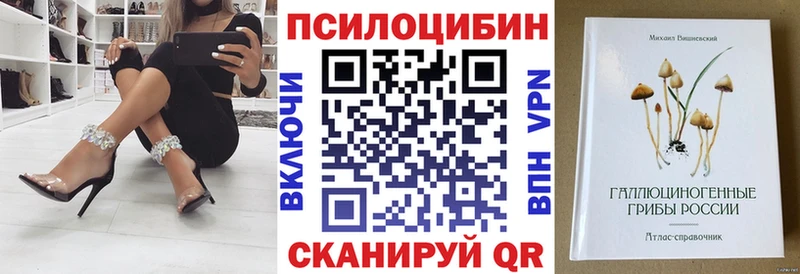 Галлюциногенные грибы Magic Shrooms  сайты даркнета как зайти  Минусинск  цена наркотик 